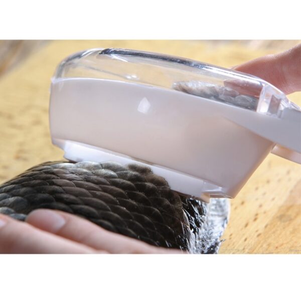 Fish Scaler Cleaning Knife - Image 2