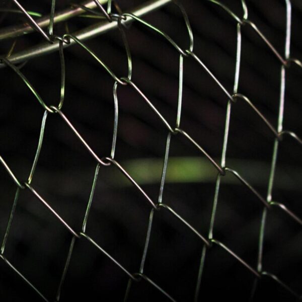 Metal Foldable Hanging Wire Net Fish Cage - Image 5